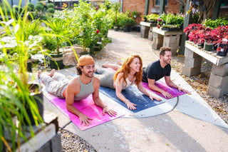 Sphinx Pose: Ardha Bhujangasana