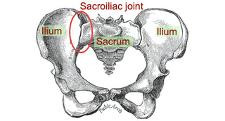 SI Joint Diagram
