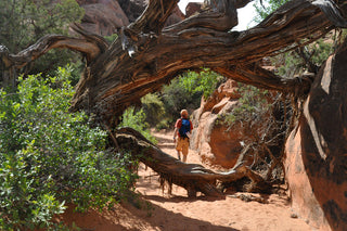 Man Hiking in Desert