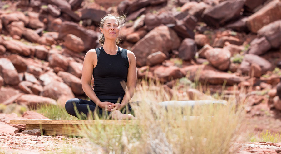 Seated Pose