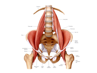 Bridge Pose: Get Out of Your Chair