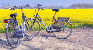 Bicycles Next to Field of Flowers