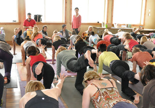 Is Full Time Yoga Teaching for You?