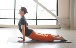 Urdva Mukha Svanasana: Upward Facing Dog Pose
