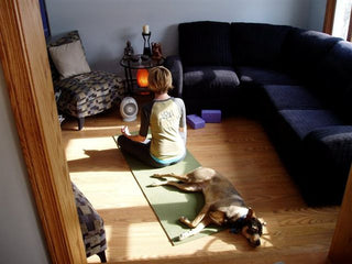 Saturday Yoga with the Happy Dog, Old Dog and Purring Cat