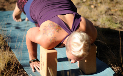 Chaturanga with Yoga Blocks
