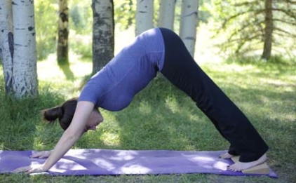 Downward Facing Dog on Purple Mat