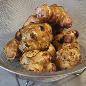 Sunchokes (Jerusalem Artichokes)