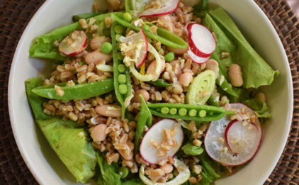 Summer Farro Salad