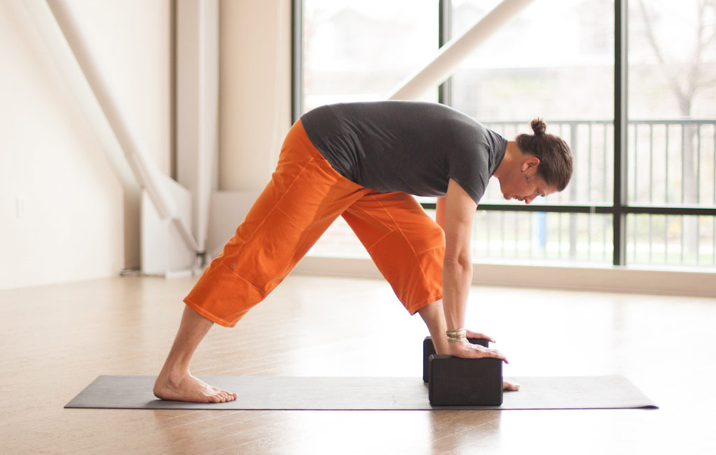 Parsvottanasana with Blocks