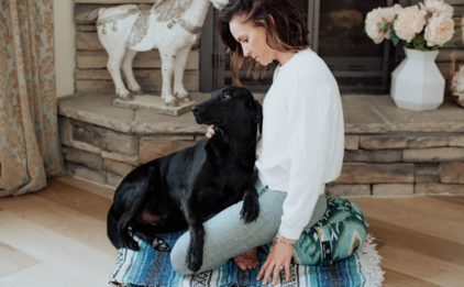 Dog and Zafu Meditation Cushion - Indigo Ikat