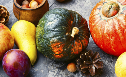 Autumn Gourds