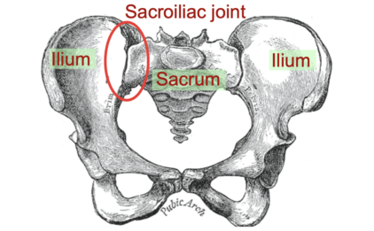 SI Joint Diagram