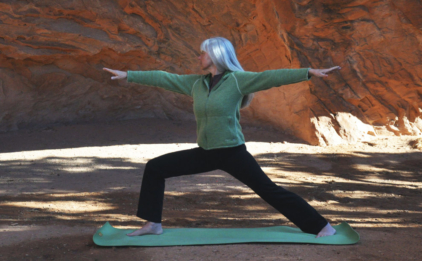 Warrior 2 Pose on Earth Elements 3mm - Misty Meadow