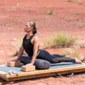Urdhva Mukha Svanasana (Upward Facing Dog) with Cork Blocks and Gray Standard Bolster
