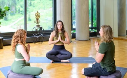 Zen Meditation Cushion - Gray