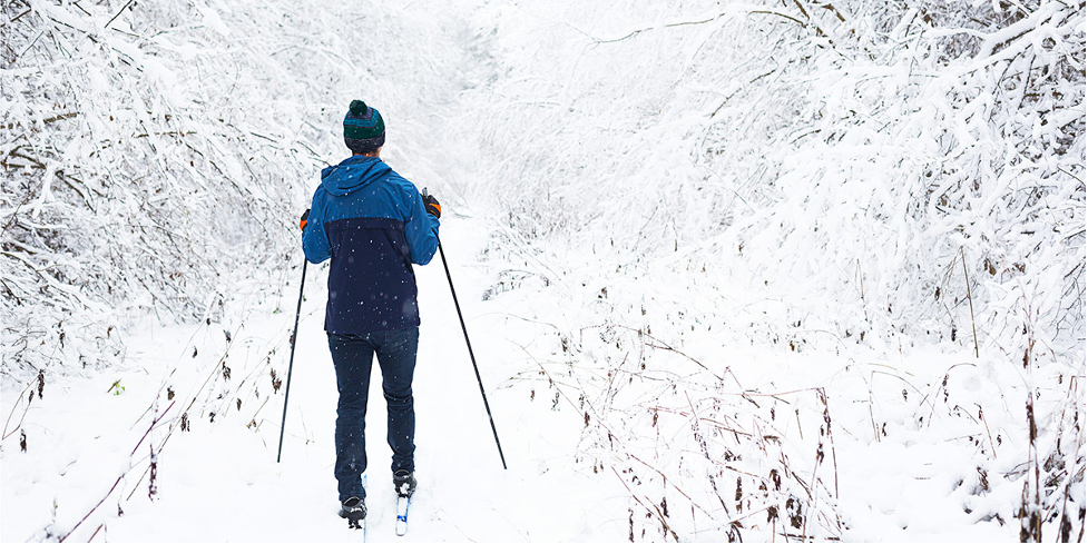 Skiing in Winter