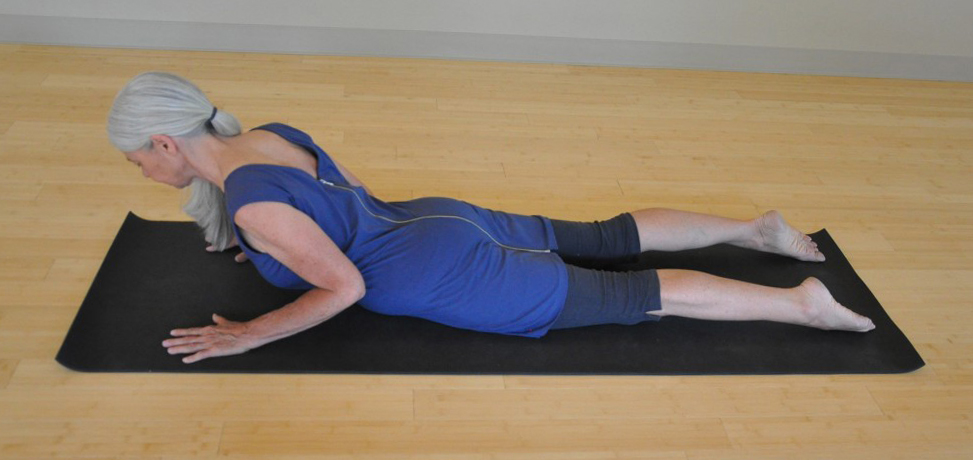 Chaturanga Dandasana: Help from Your Hyoid - Hugger Mugger