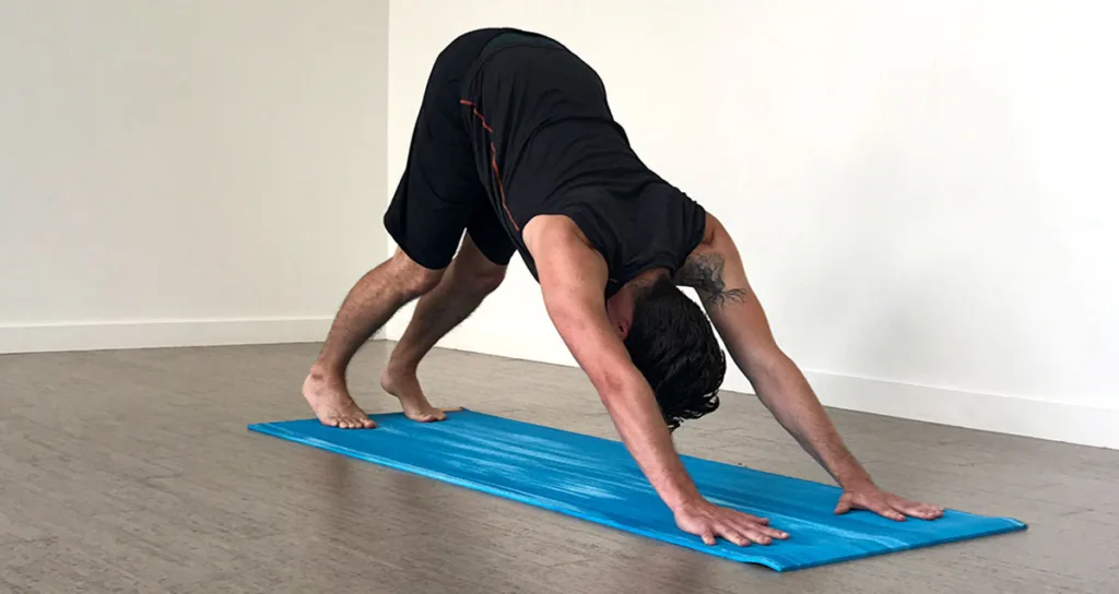 Adho Mukha Downward Facing Dog Pose