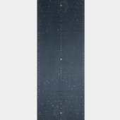 ydl combo travel yoga mat 2 in 1 mat towel best for travel yoga design lab